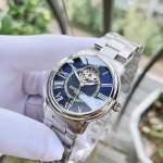 Frederique Constant FC-315NS3P6B ( 315NS3P6B )