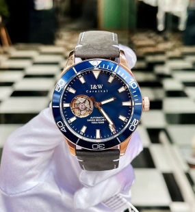 I&W Carnival IW542G