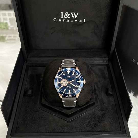 I&W Carnival IW542G