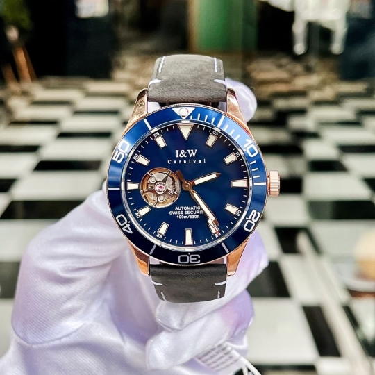 I&W Carnival IW542G