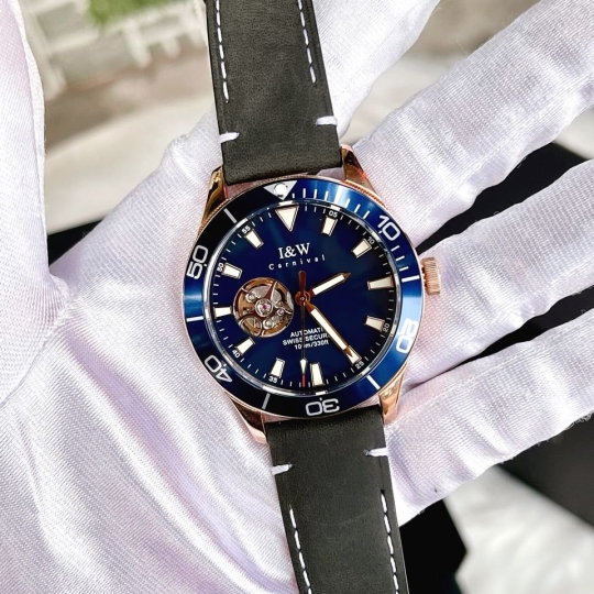 I&W Carnival IW542G
