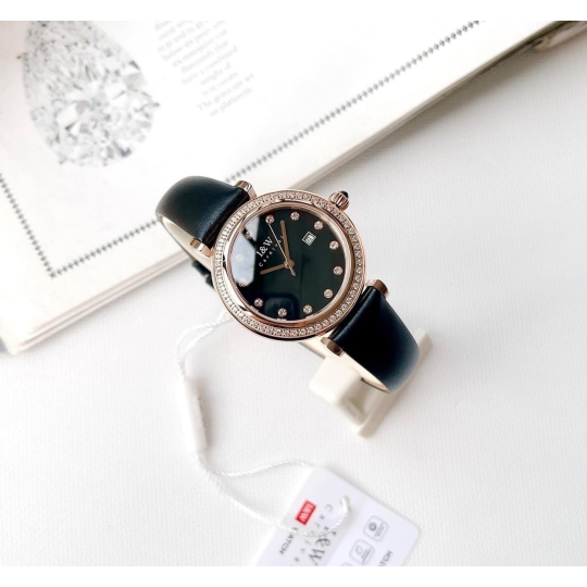 I&W CARNIVAL IW556L